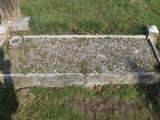 image of grave number 470544
